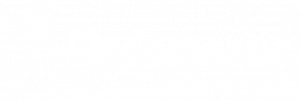 Logo Findomestic