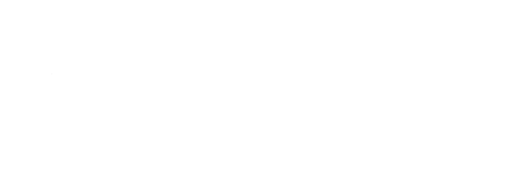 Logo Findomestic